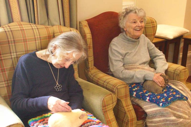 Some guinea pigs are brought for the residents to meet